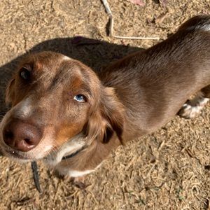 Meet your Posher, Kara